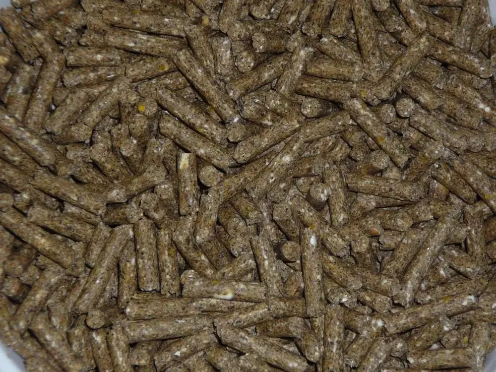 Moulin de massagettes galerie photos (8)