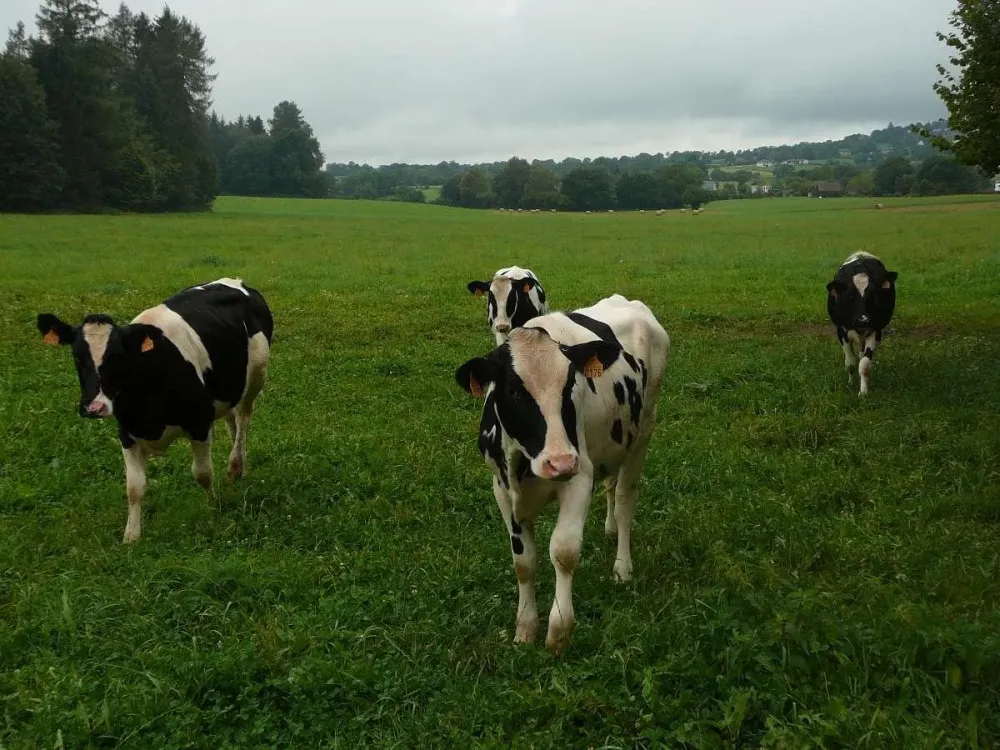Moulin de massagettes vie de ferme (6)