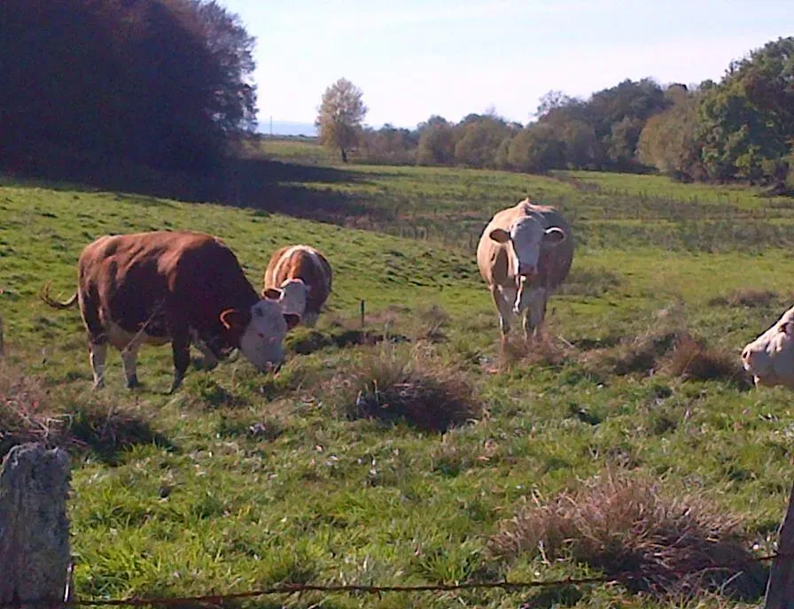 Moulin de massagettes vie de ferme (2)