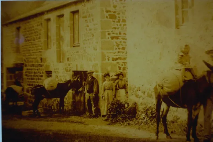 Photo 1906 avec ânes